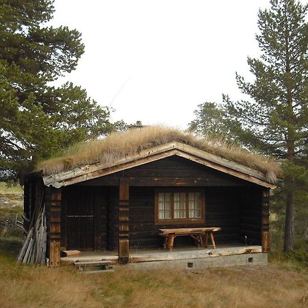 Lusaeter Timber Cabins Heidal ห้อง รูปภาพ